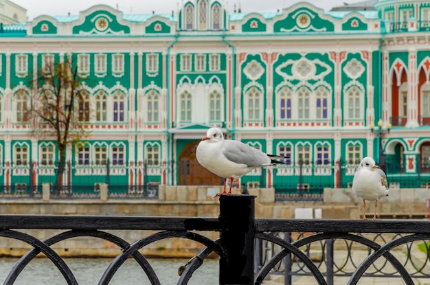 Photo un bâtiment vert et blanc avec un oiseau dessus