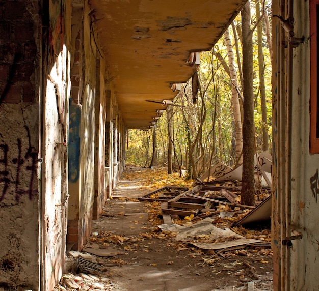 Bâtiment vide bâtiment abandonné au milieu des arbres