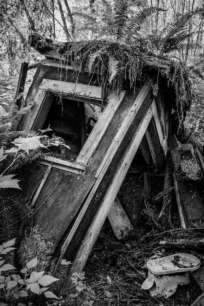 Photo bâtiments et arbres abandonnés