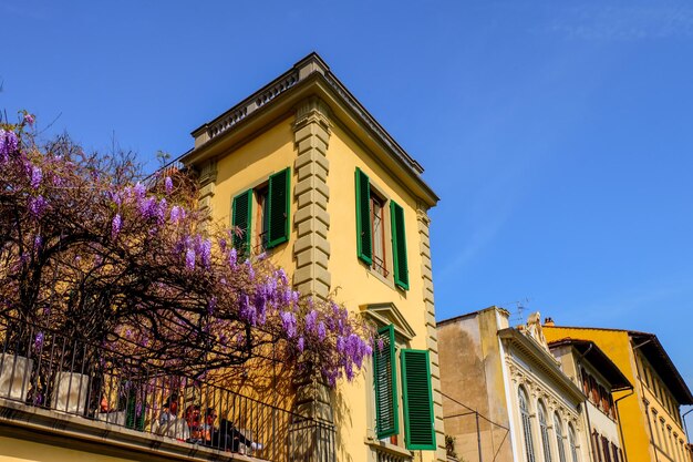 Bâtiments et fleurs à Florence Avril 2016