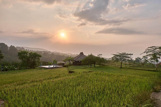 Bâtiments locaux et espaces verts dans un portrait du paysage avant le coucher du soleil