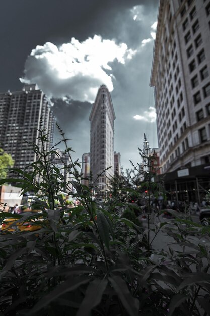 Des bâtiments modernes dans la ville contre le ciel