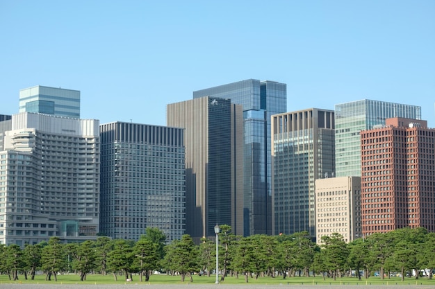 Des bâtiments modernes en ville contre un ciel bleu clair
