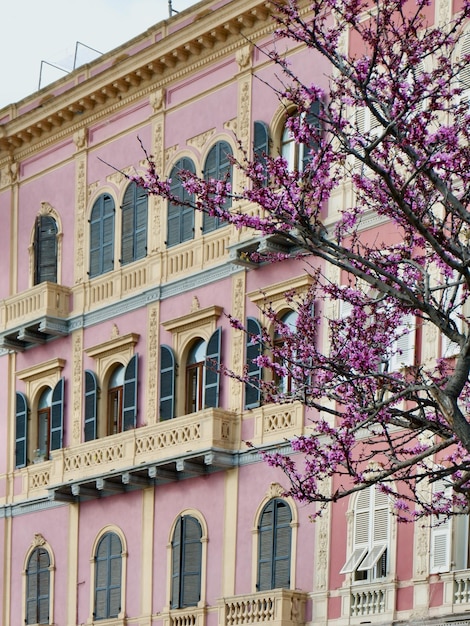 Photo bâtiments pittoresques construits dans la tradition architecturale italienne à travers un arbre à fleurs