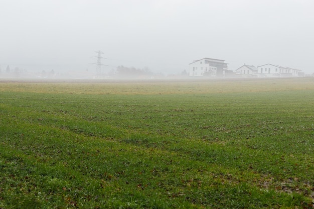 Bâtiments résidentiels par temps de brouillard au bord du champ