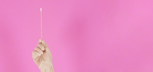 Bâton de coton pour test d'écouvillon à la main avec des gants médicaux blancs ou un gant en latex sur fond rose