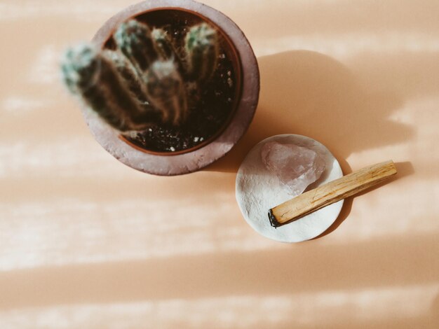 Photo bâtons d'encens palo santo et cristal de quartz sur plaque blanche et plante cacrus sur fond beige avec ombres vue supérieure espace de copie