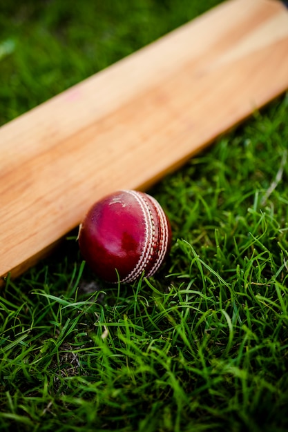 Batte de cricket et balle sur l&#39;herbe verte