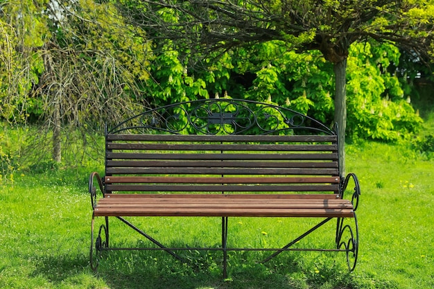 Beau banc en bois dans le parc aux beaux jours