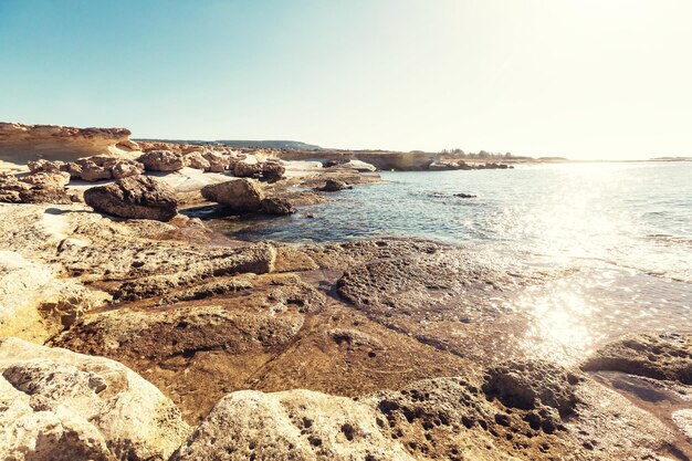 Beau bord de mer à Chypre