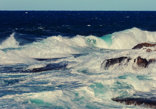 Beau bord de mer à Chypre