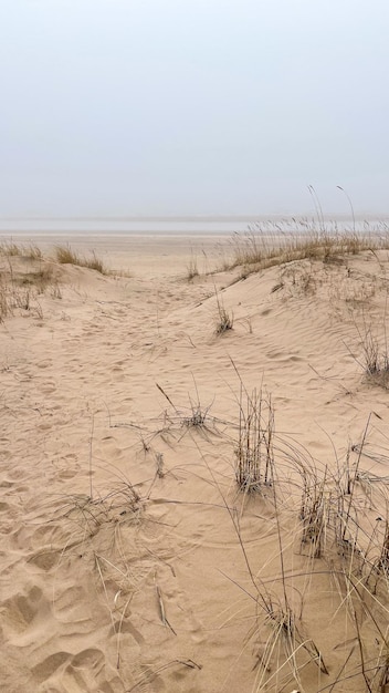 beau bord de mer sablonneux dans le brouillard