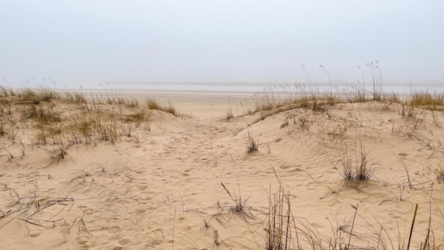 beau bord de mer sablonneux dans le brouillard