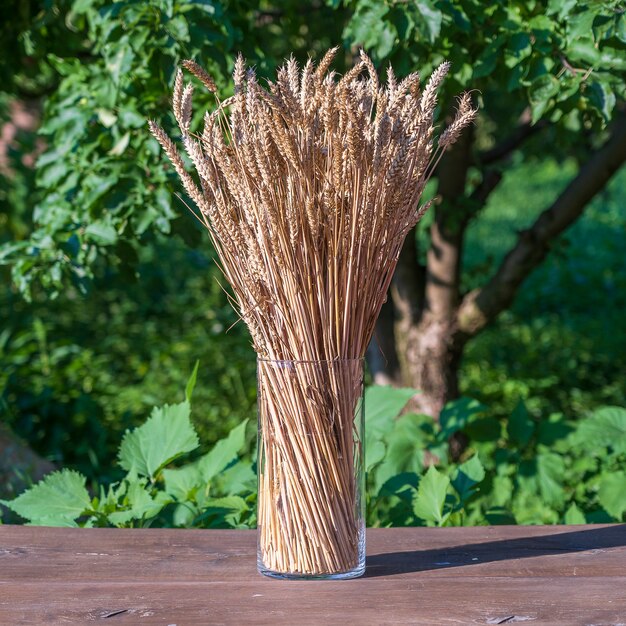 Beau bouquet de blé dans un vase en verre dans le jardin verdoyant. Notion de récolte