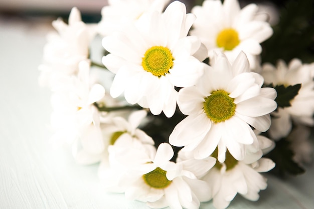 un beau bouquet de chrysanthèmes blancs en gros plan