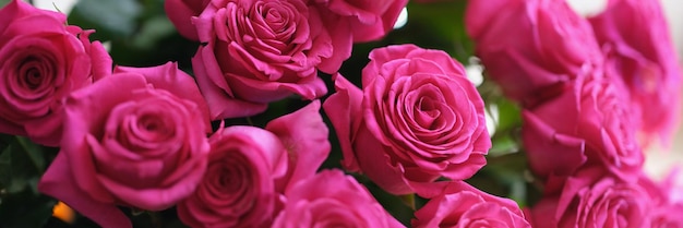Beau bouquet fleuri frais de roses roses avec des feuilles vertes