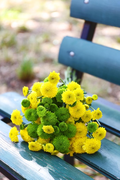 Beau bouquet de fleurs de chrysanthèmes sur banc en bois dans le parc