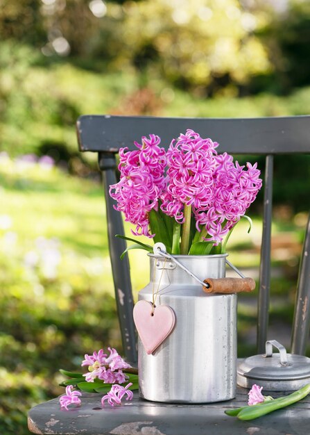 Beau bouquet de fleurs de hyacinthine rose de printemps dans une boîte à lait en aluminium avec pendentif de cœur