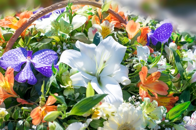 Beau bouquet de fleurs lumineux