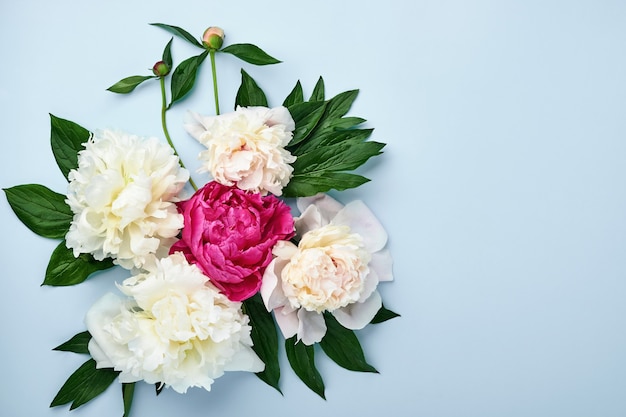 Beau bouquet de fleurs de pivoine rouge, rose et blanc sur fond bleu, vue de dessus, espace de copie, mise à plat. Fond de Saint Valentin, mariage et fête des mères.