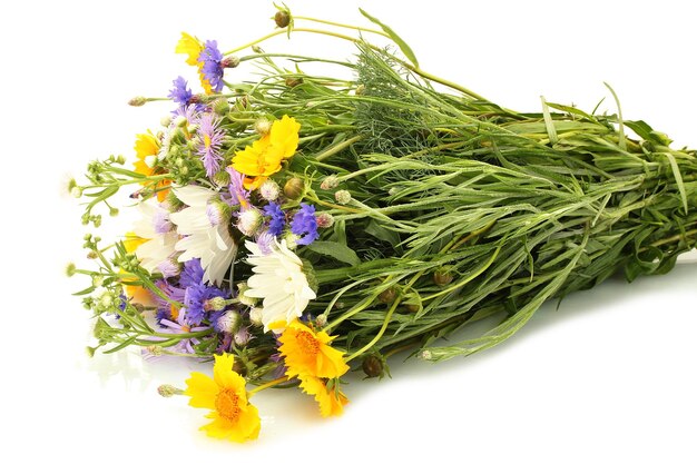 Beau bouquet de fleurs sauvages lumineuses isolées sur blanc