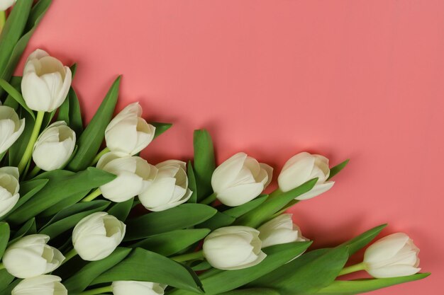 Beau bouquet de fleurs de tulipes blanches avec carte sur fond rose espace pour le texte