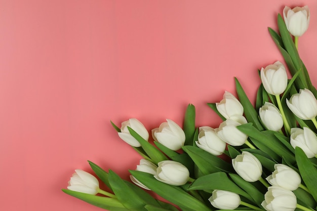 Beau bouquet de fleurs de tulipes blanches avec carte sur fond rose espace pour le texte