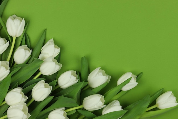 Beau bouquet de fleurs de tulipes blanches avec carte sur fond vert espace pour le texte