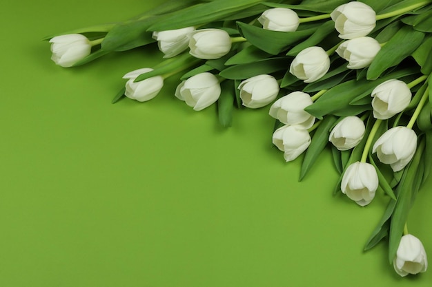 Beau bouquet de fleurs de tulipes blanches avec carte sur fond vert espace pour le texte