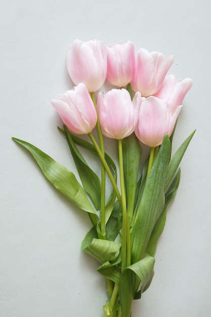 Beau bouquet de fleurs de tulipes roses sur fond gris