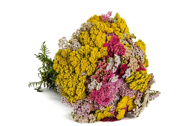 Photo beau bouquet de fleurs yarrow isolées sur un fond blanc