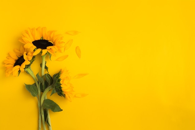 Beau bouquet frais de tournesols avec des feuilles vertes sur fond jaune