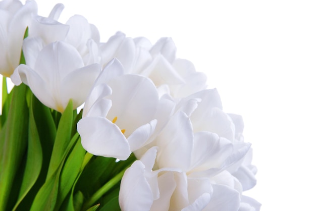 Beau bouquet de gros plan de tulipes blanches