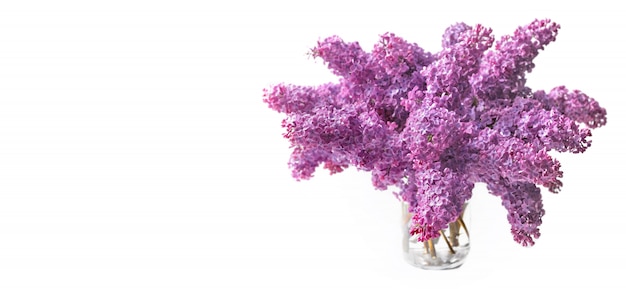 Beau bouquet de lilas pourpre sur un bocal en verre isolé sur blanc