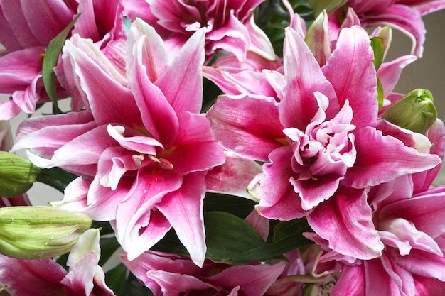 Beau bouquet de Lilium rose ou de fleur de lys