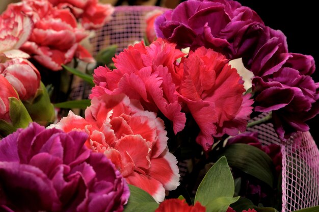 Beau bouquet d'oeillets rouges