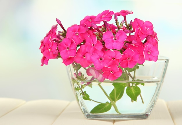 Beau bouquet de phlox dans un bol sur table sur fond clair