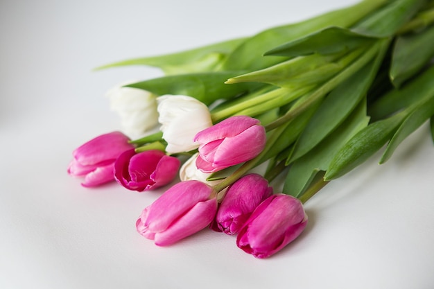 Beau bouquet de printemps avec des tulipes roses et blanches sur fond blanc. Printemps, 8 mars, anniversaire. Carte postale, place pour une inscription.