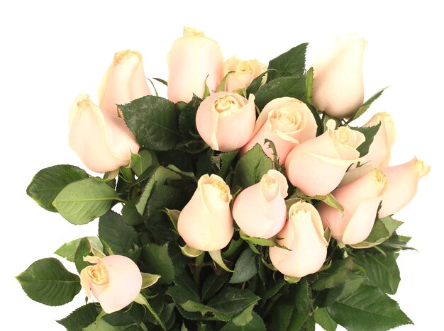 Beau bouquet de roses isolé sur blanc