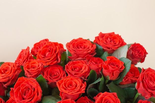 Beau bouquet de roses rouges sur fond clair