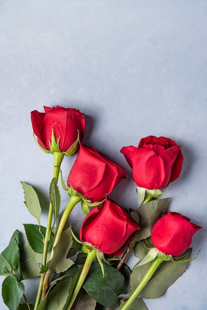 Beau bouquet de roses rouges se trouve sur un fond bleu Saint Valentin. Vue de dessus et espace de copie