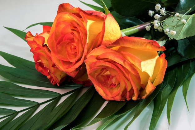 Photo beau bouquet de trois roses jaunes-rouges