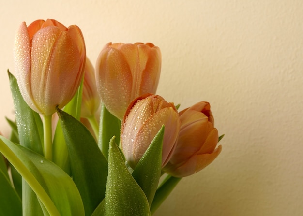 Beau bouquet de tulipes sur fond blanc