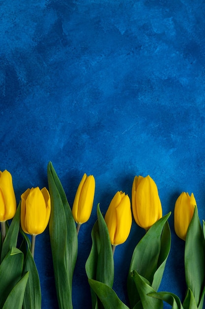 Beau bouquet de tulipes jaunes sur un fond de béton bleu Vue de dessus copie espace