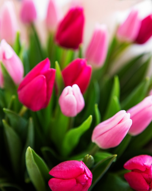 Beau bouquet de tulipes