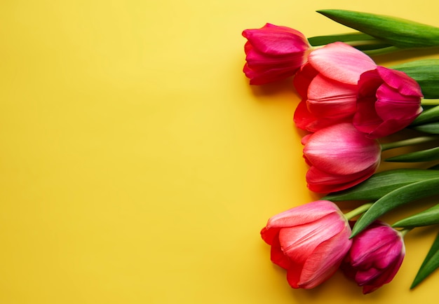 Beau bouquet de tulipes