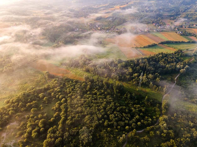 Beau brouillard sur la vue aérienne de drone de campagne