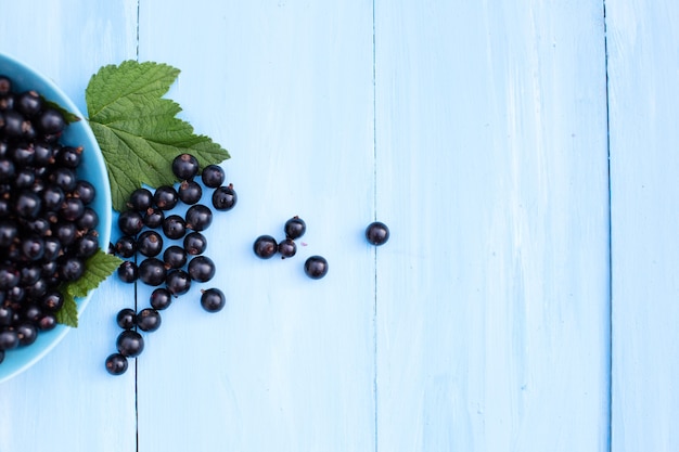 Beau cassis sur un fond en bois bleu.