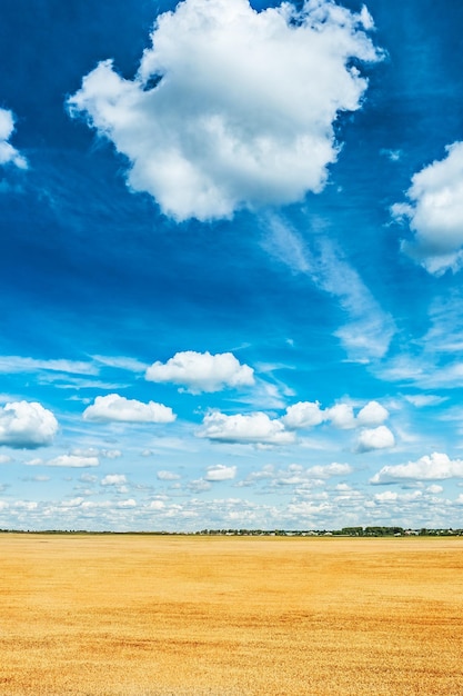 Beau champ de blé et ciel nuageux vue depuis la hauteur