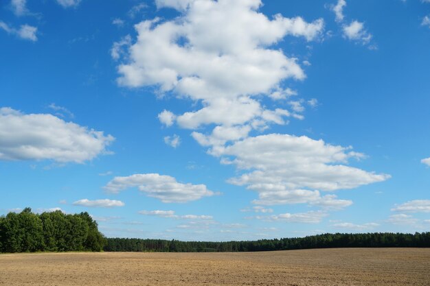 Photo un beau champ rural sur un fond de ciel bleu et de nuages complexe agro-industriel pour la culture de céréales blé légumineuses orge haricots